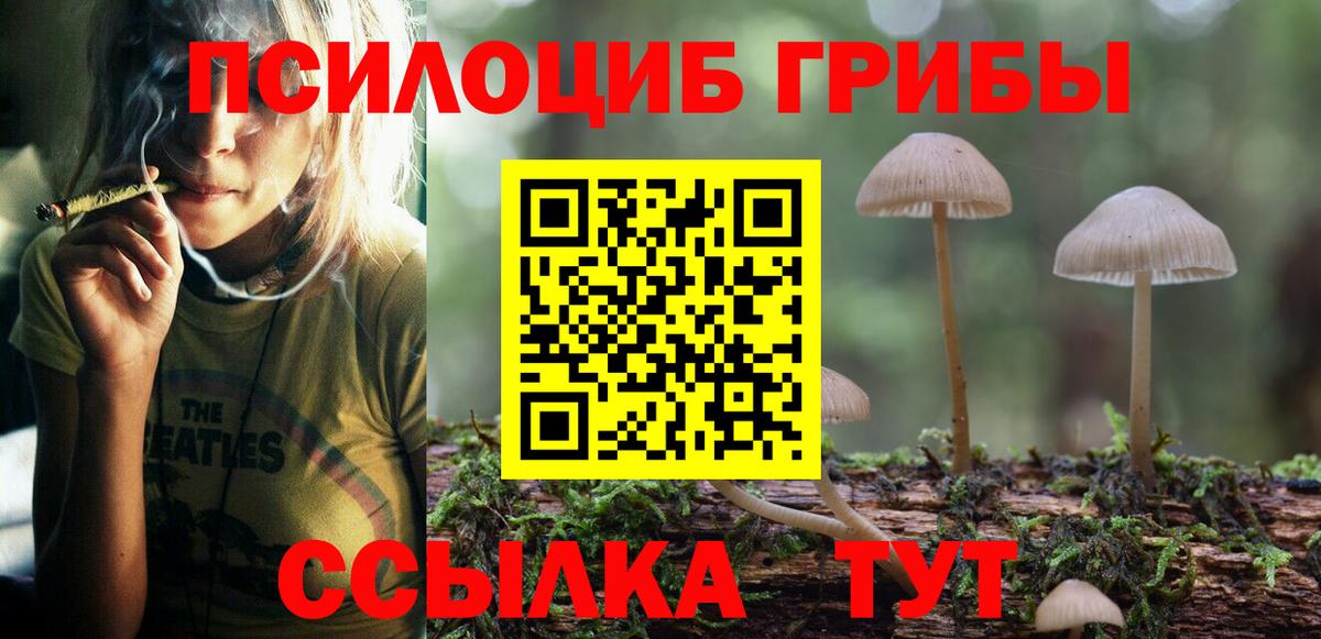 Галлюциногенные грибы мицелий Орехово-Зуево
